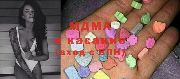 прущие грибы Новозыбков