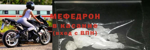 прущие грибы Новозыбков