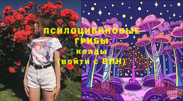 марки nbome Новокубанск