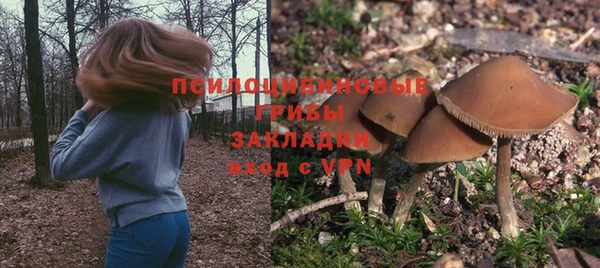 марки nbome Новокубанск
