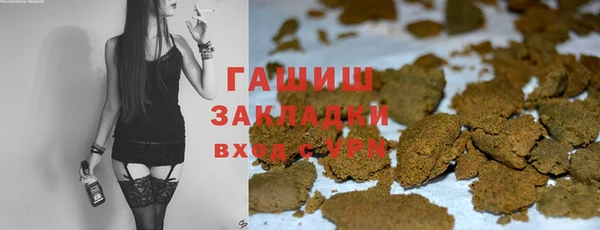 прущие грибы Новозыбков