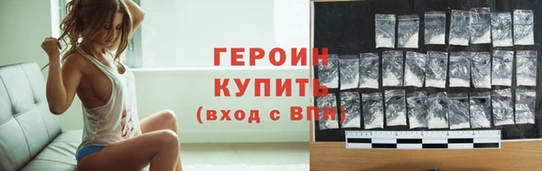 прущие грибы Новозыбков