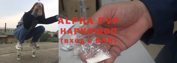 прущие грибы Новозыбков
