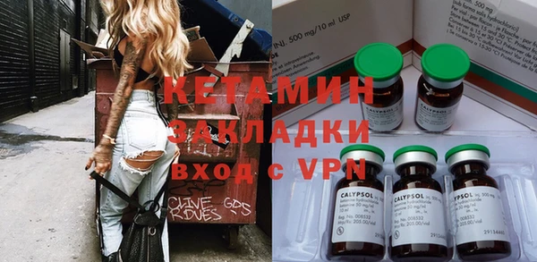 прущие грибы Новозыбков