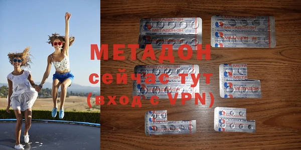 прущие грибы Новозыбков