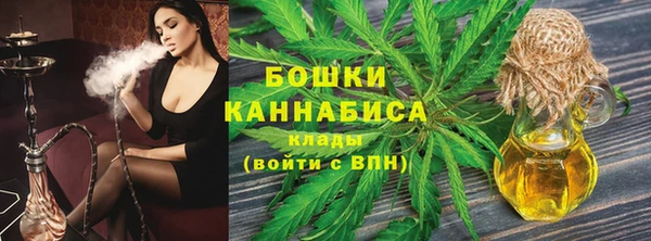 прущие грибы Новозыбков