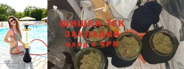 прущие грибы Новозыбков